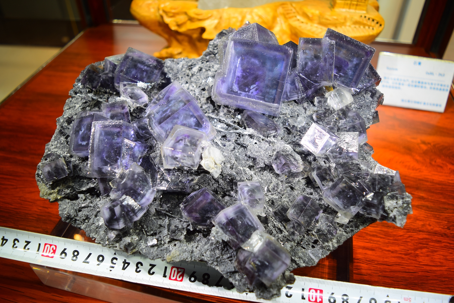 88.紫萤石-1.jpg
